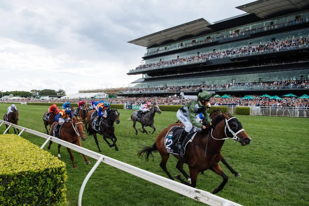 100 Days till Everest Day 2020 - Australian Turf Club