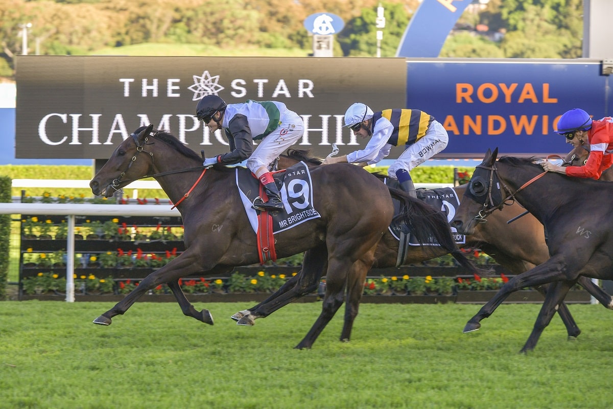 Star-Studded Nominations for Sydney Autumn Racing Carnival