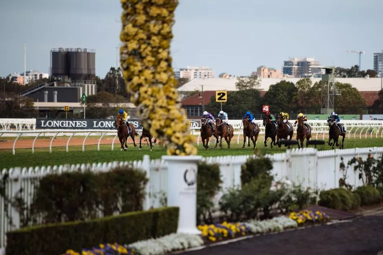 Australian Turf Club Sydney Racing Royal Randwick Rosehill Gardens