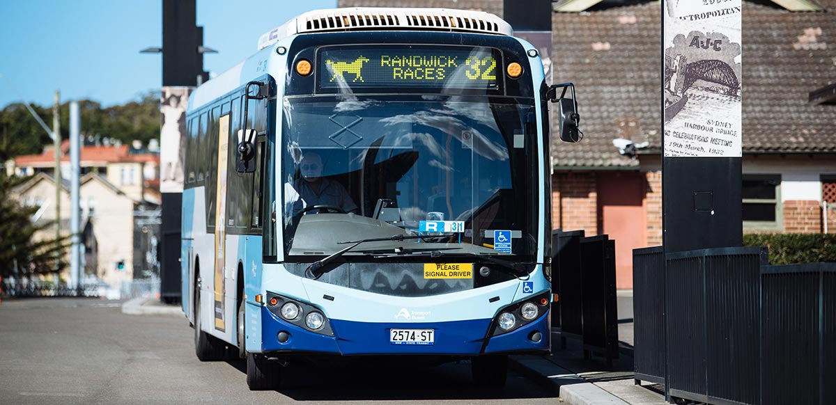 Buses