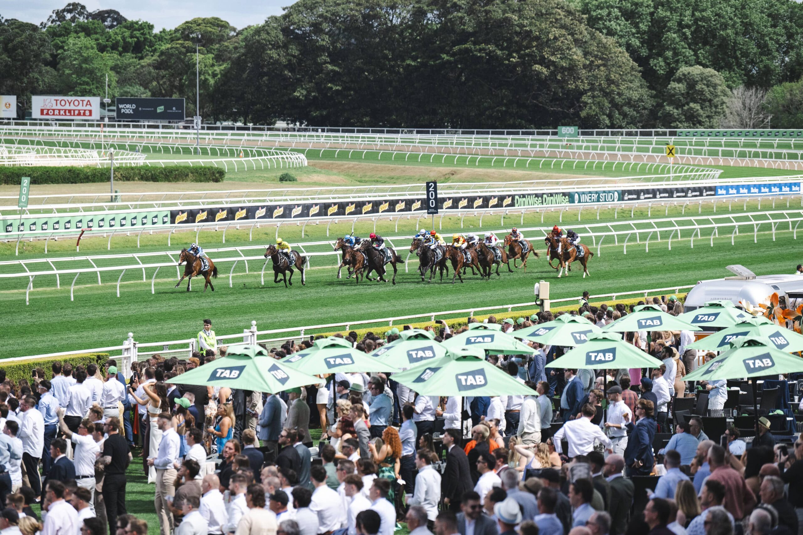 7 Things Every First-Time Racegoer Should Know | ATC