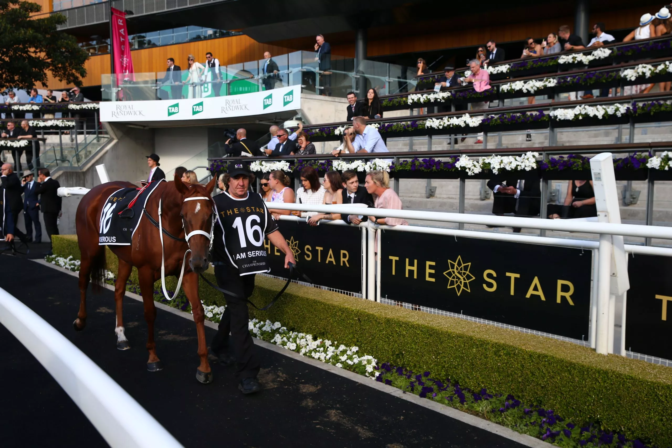 THE STAR SYDNEY CONTINUES SUPPORT OF RACING IN NEW THREEYEAR DEAL WITH