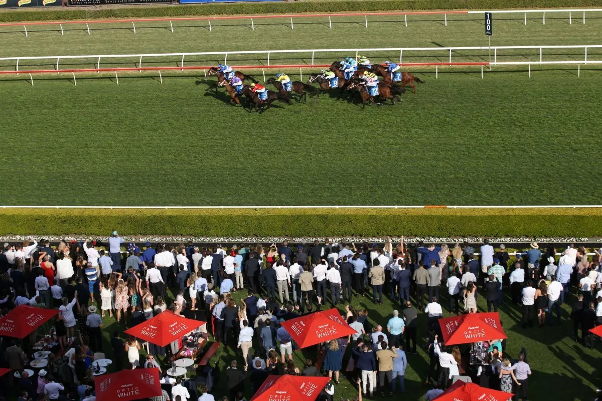 Royal Randwick Racecourse | Sydney Races | Australian Turf Club