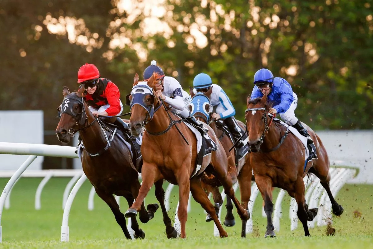 Canterbury Park Race Day Wednesday, 22 July 2020 Australian Turf Club