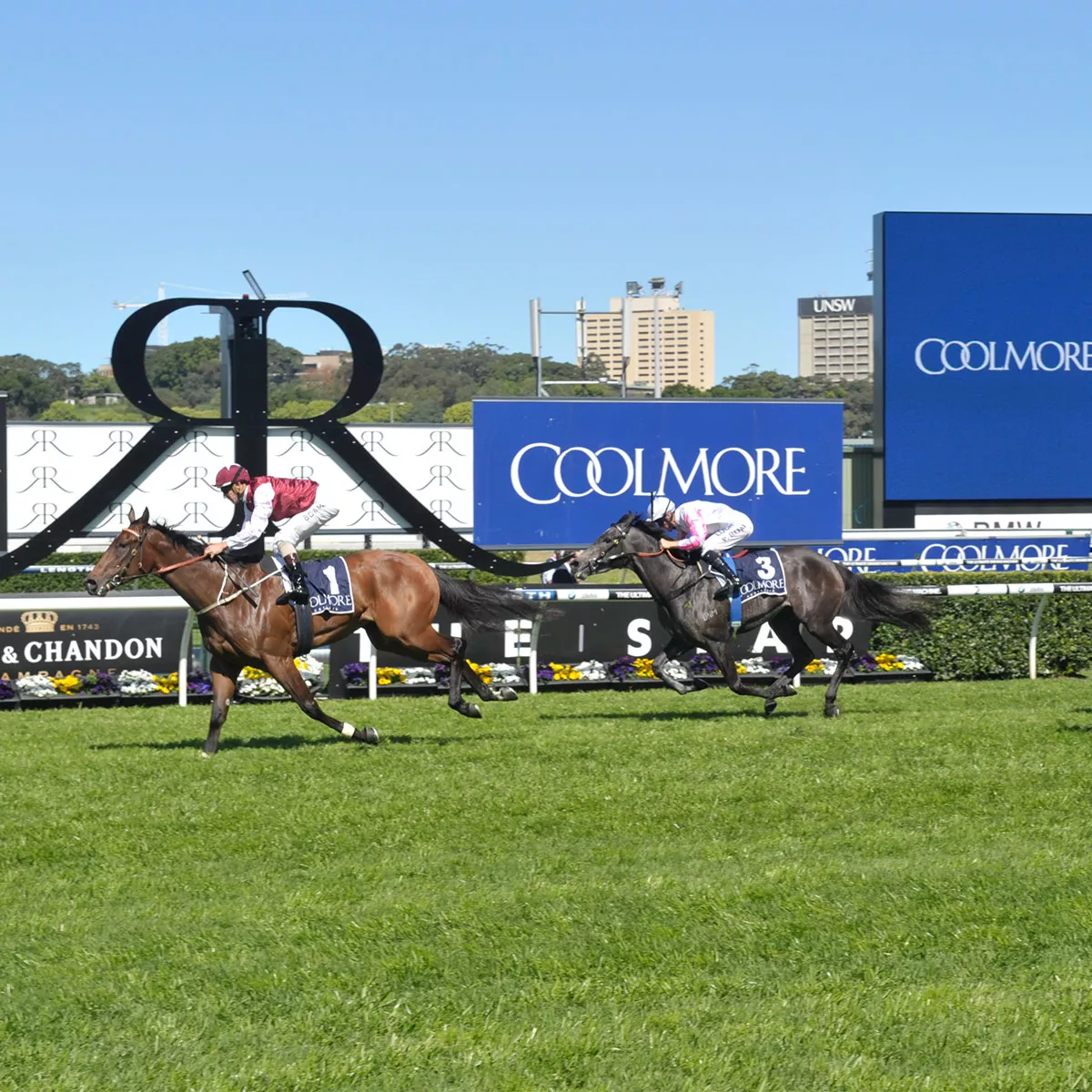 Tea Rose Stakes