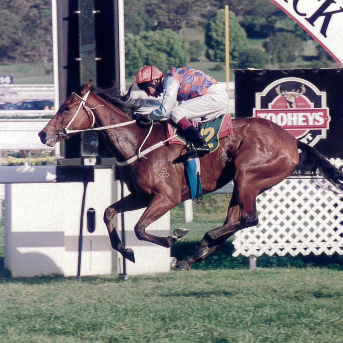 Flight Stakes