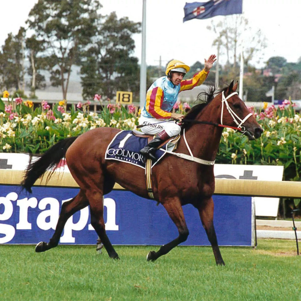 Tea Rose Stakes, margin
