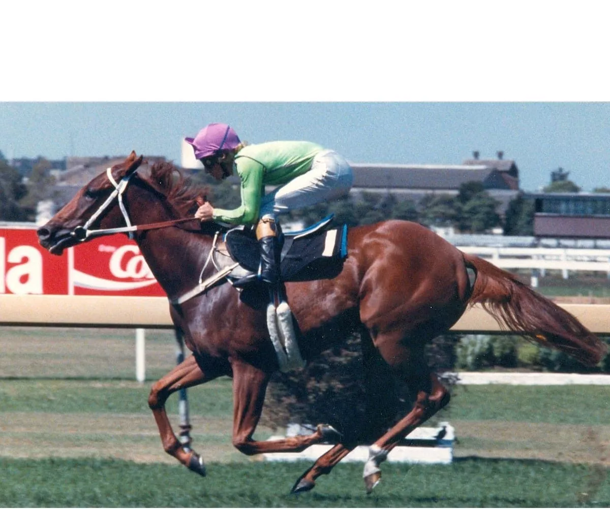The Princess Series / The Princess Horses - Race Statistics