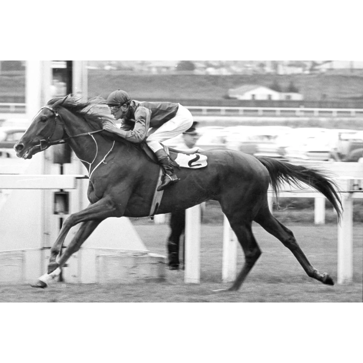 Flight Stakes, dam