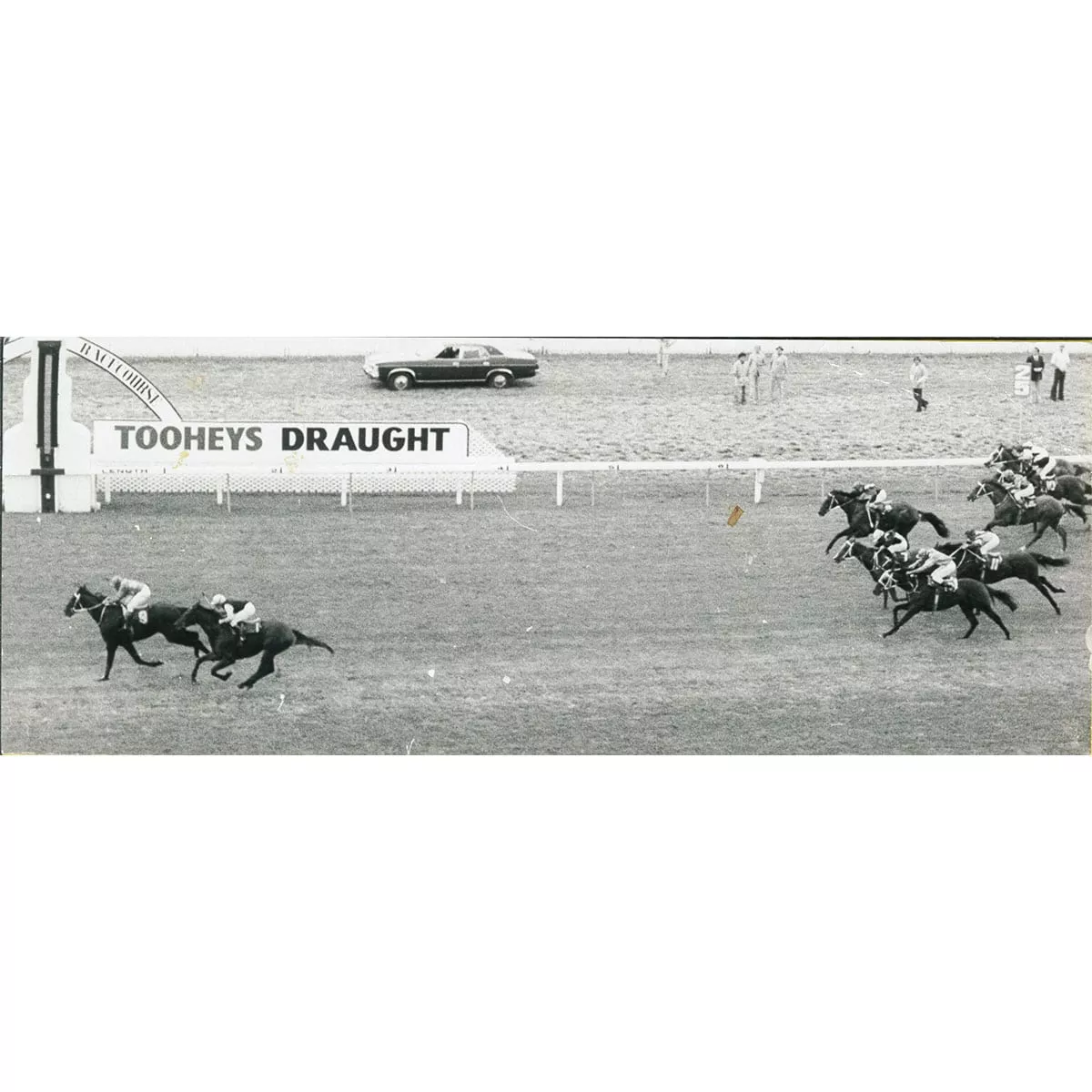 Dulcify (NZ)