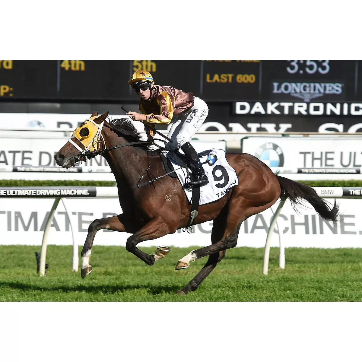 Tavago (NZ)