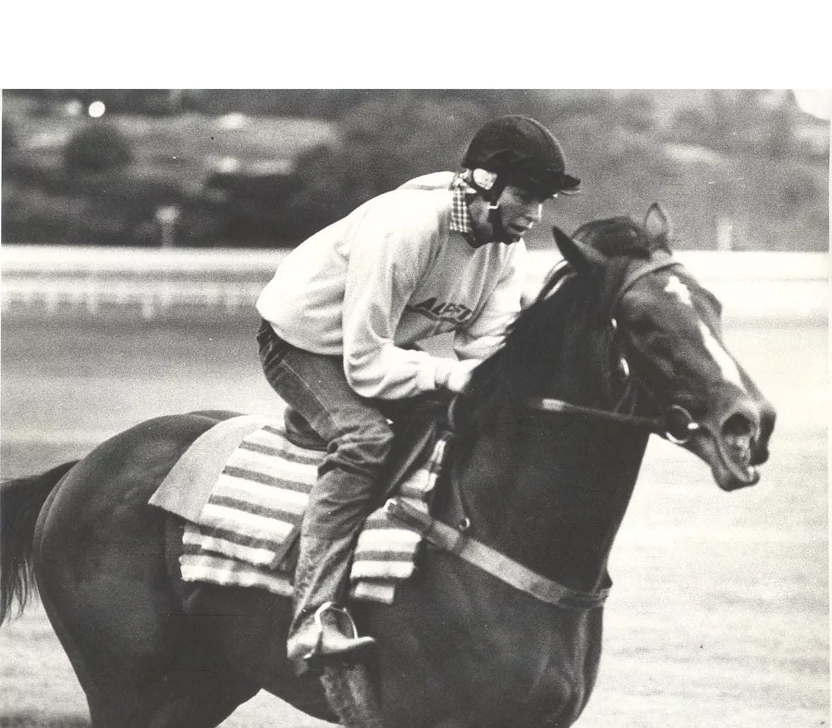 Beau Zam (NZ)