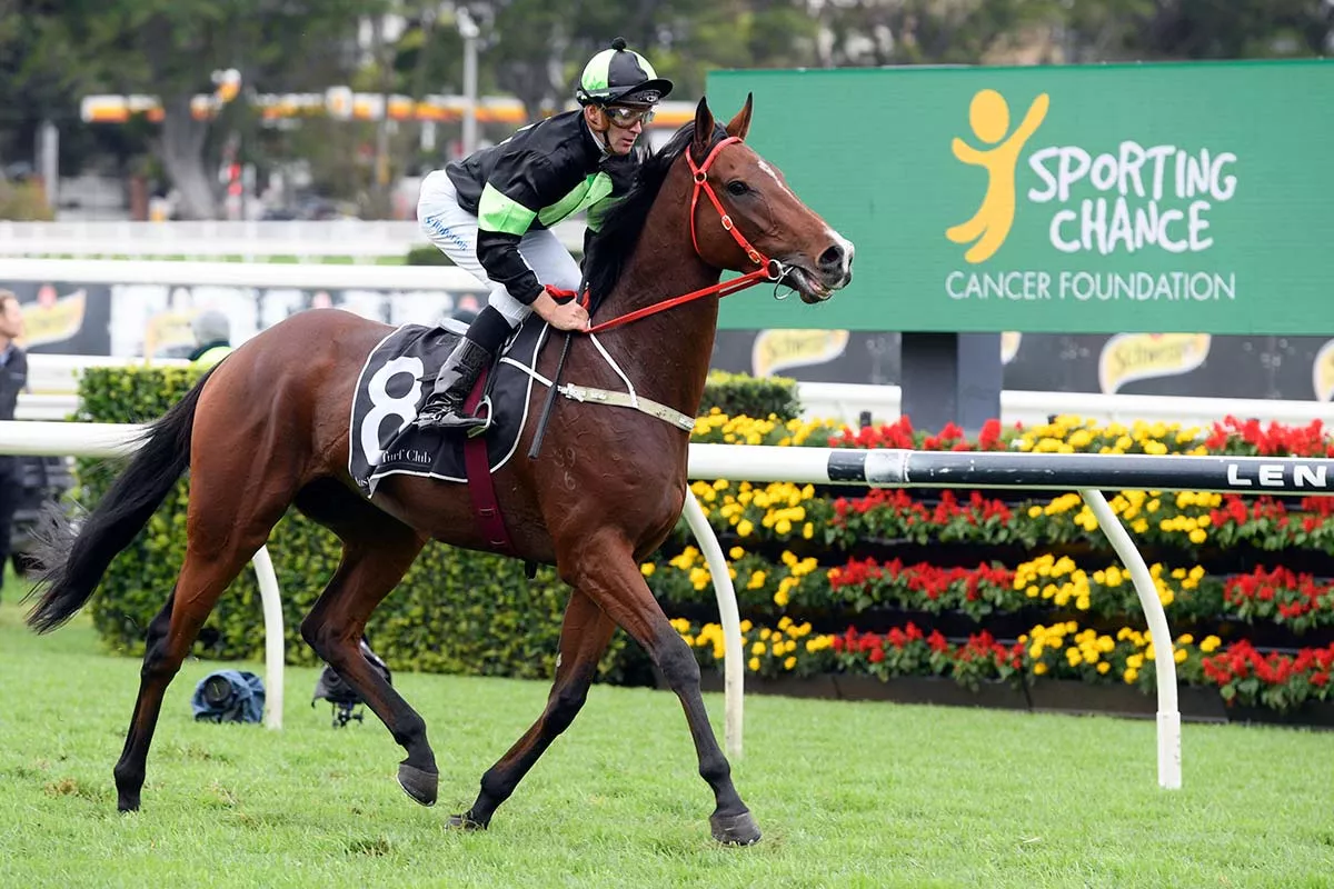 SPORTING CHANCE CANCER FOUNDATION RACEDAY BACK AS A ROYAL RANDWICK ...