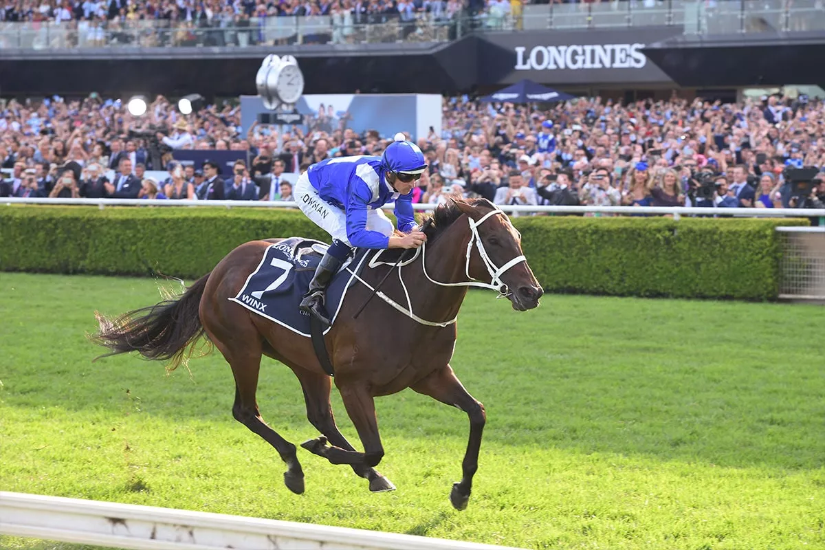 chris-waller-australian-turf-club