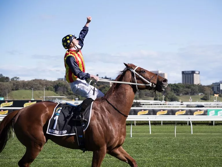 Australian Turf Club Sydney Racing Royal Randwick Rosehill Gardens