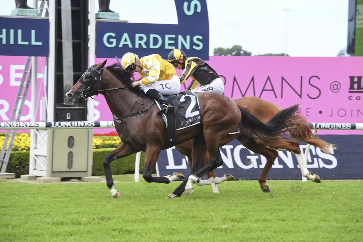 2022 Longines Golden Slipper Order or Entry Australian Turf Club