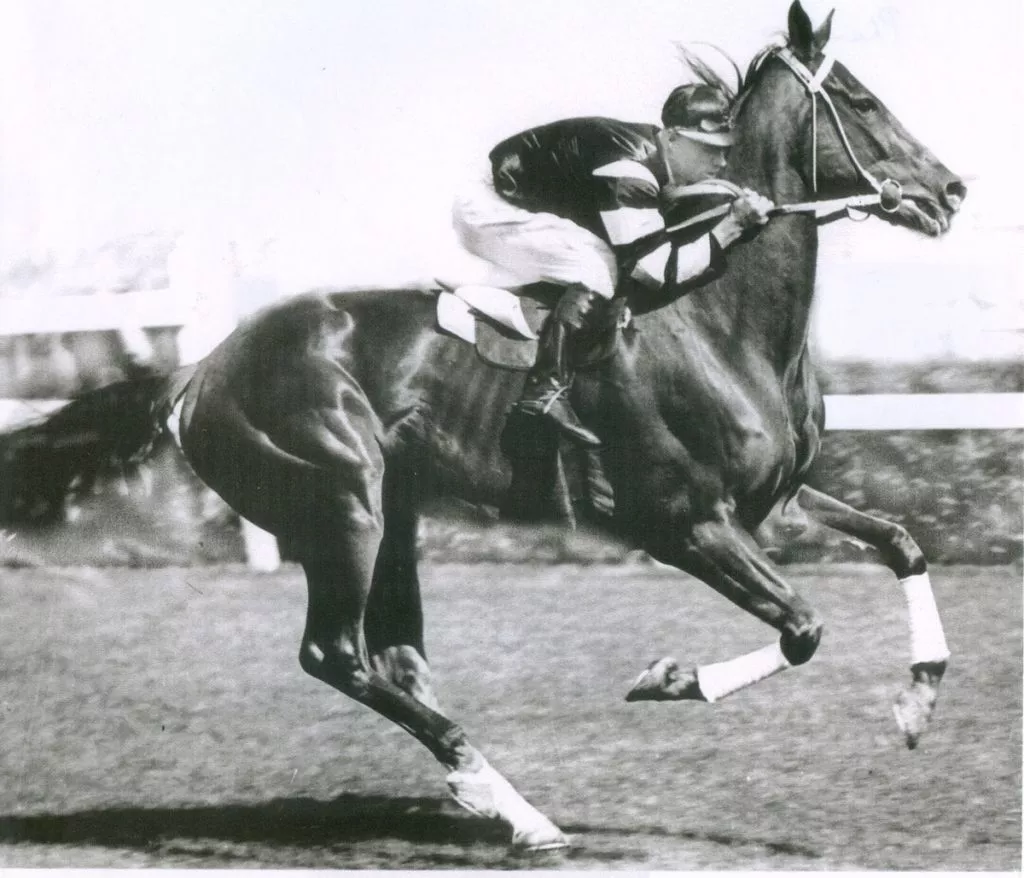 On This Day - 90 years since Phar Lap passed away - Australian Turf Club