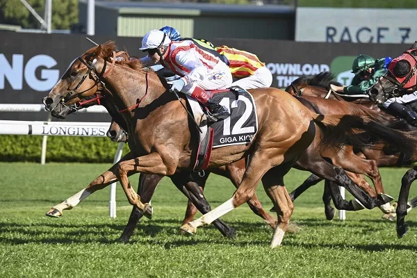 Bid for the 2022 TAB Everest Saddle Cloths - Australian Turf Club