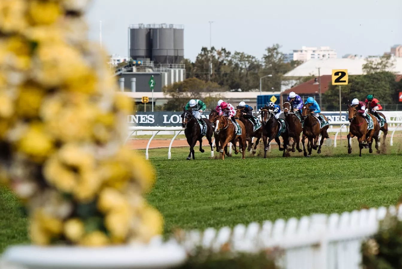 Rosehill Gardens Race Day Saturday 13 January 2024 Australian Turf   6 Rosehill Gardens 