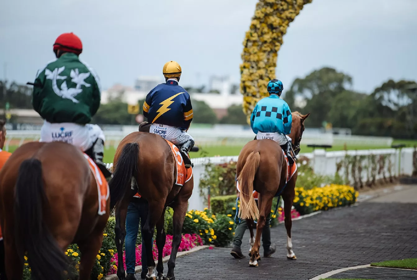 Rosehill Gardens Race Day - Saturday, 14 September 2024 - Run the Rose ...