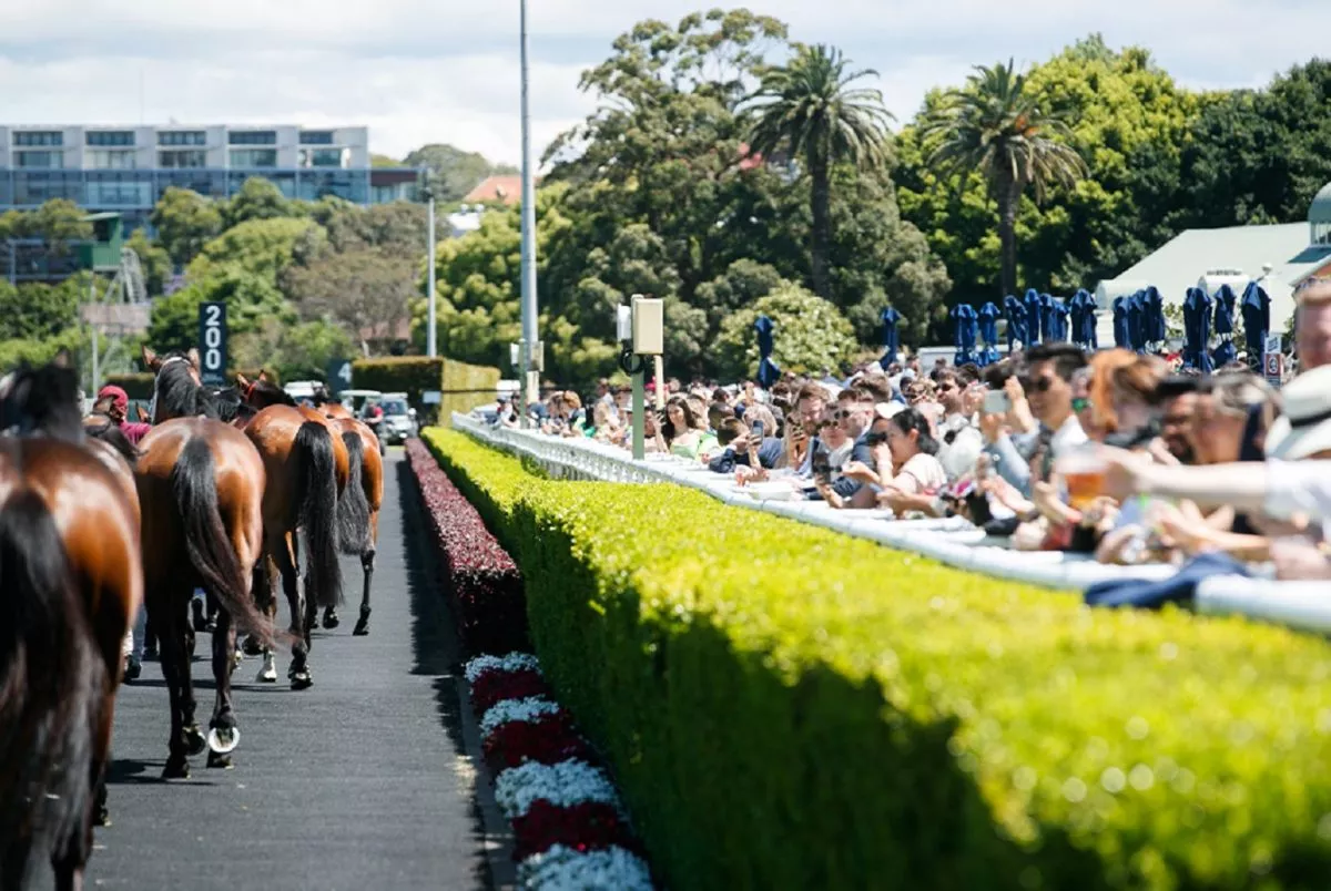 Royal Randwick Race Day Saturday, 6 January 2024 Australian Turf Club