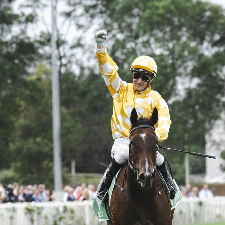 TAB GOLDEN SLIPPER DAY SPARKLES