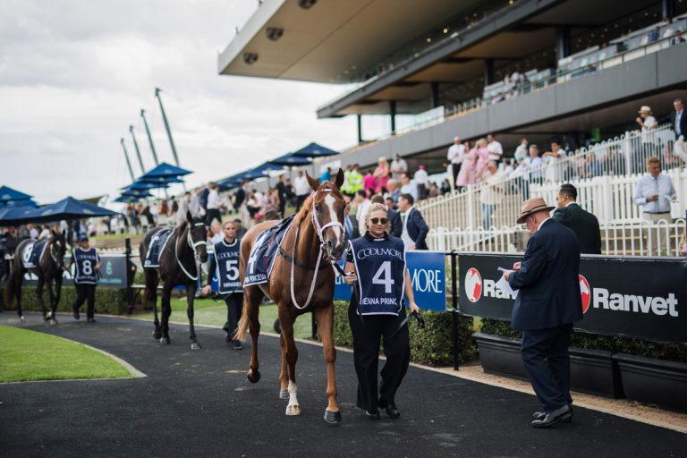 Update following races postponed at Rosehill Gardens