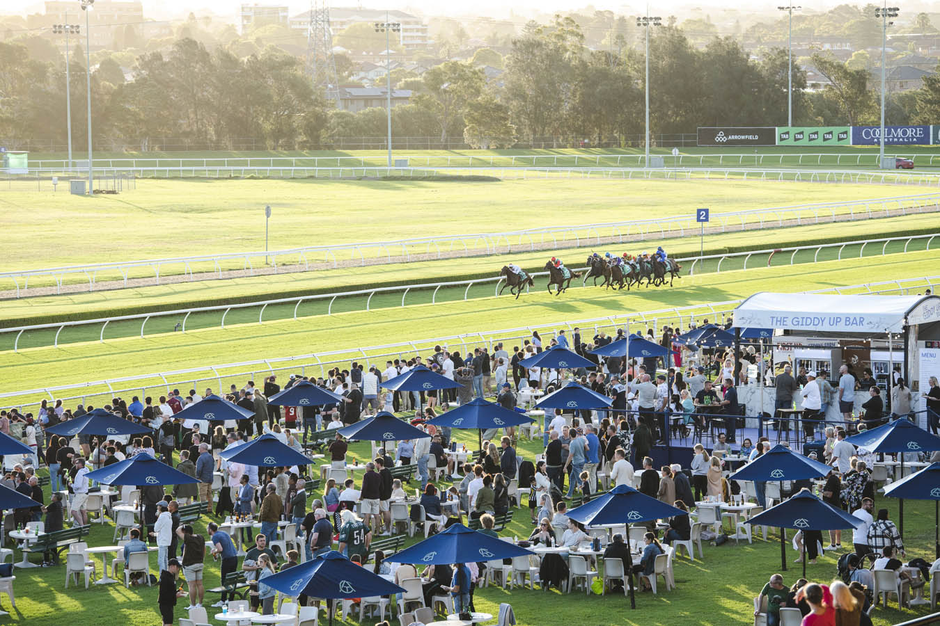 Canterbury Park Racecourse Entries & Results for Thursday, 12192024