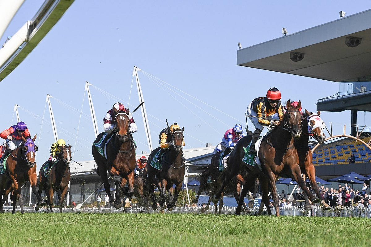 Listed Kia Winter Cup Sees Stayers Centre Stage at Rosehill Gardens