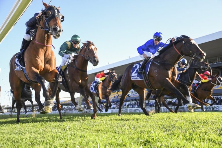 Golden Pathway Opens Up in James Squire Run To The Rose