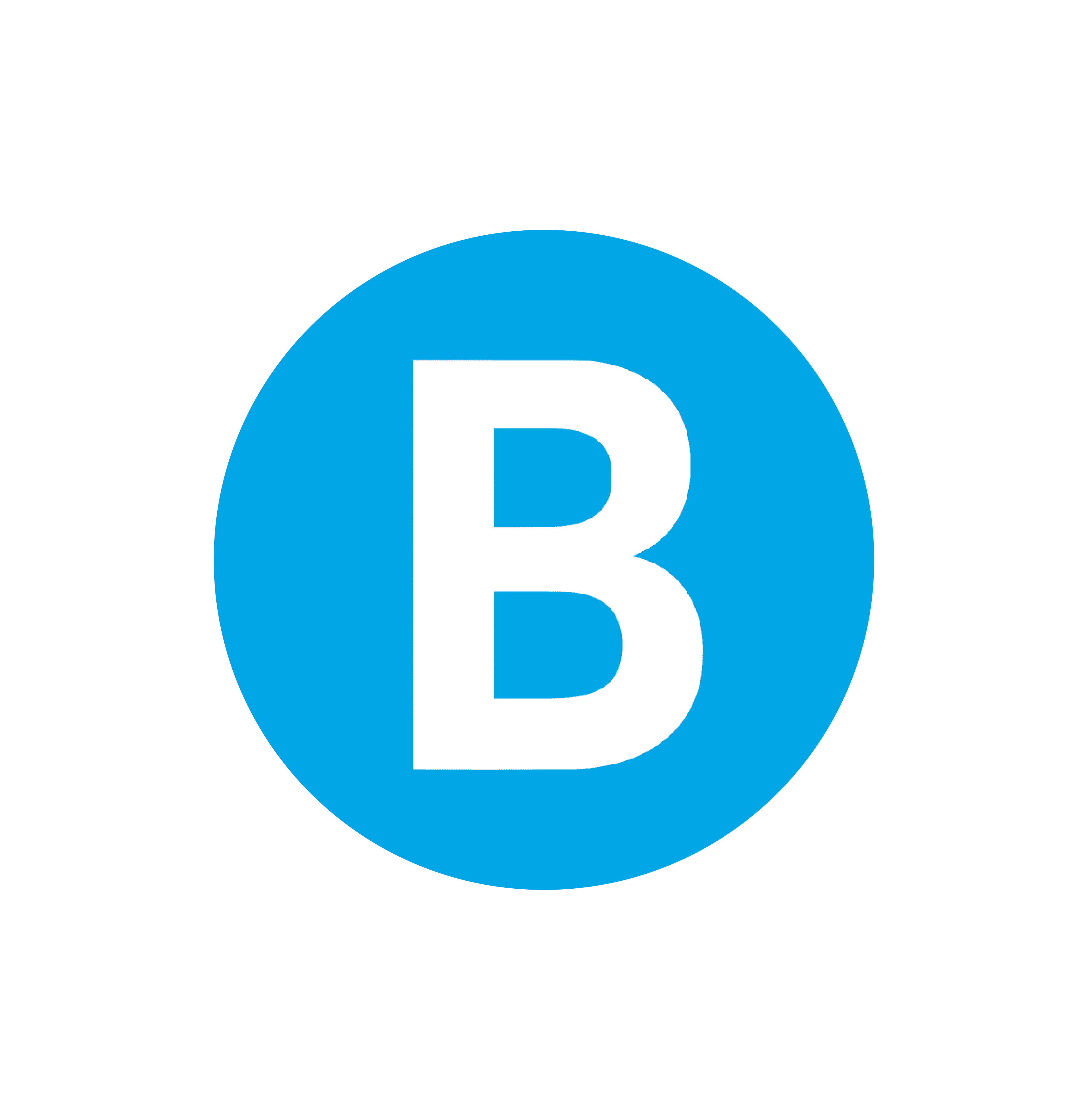 NSW Transport Bus Icon