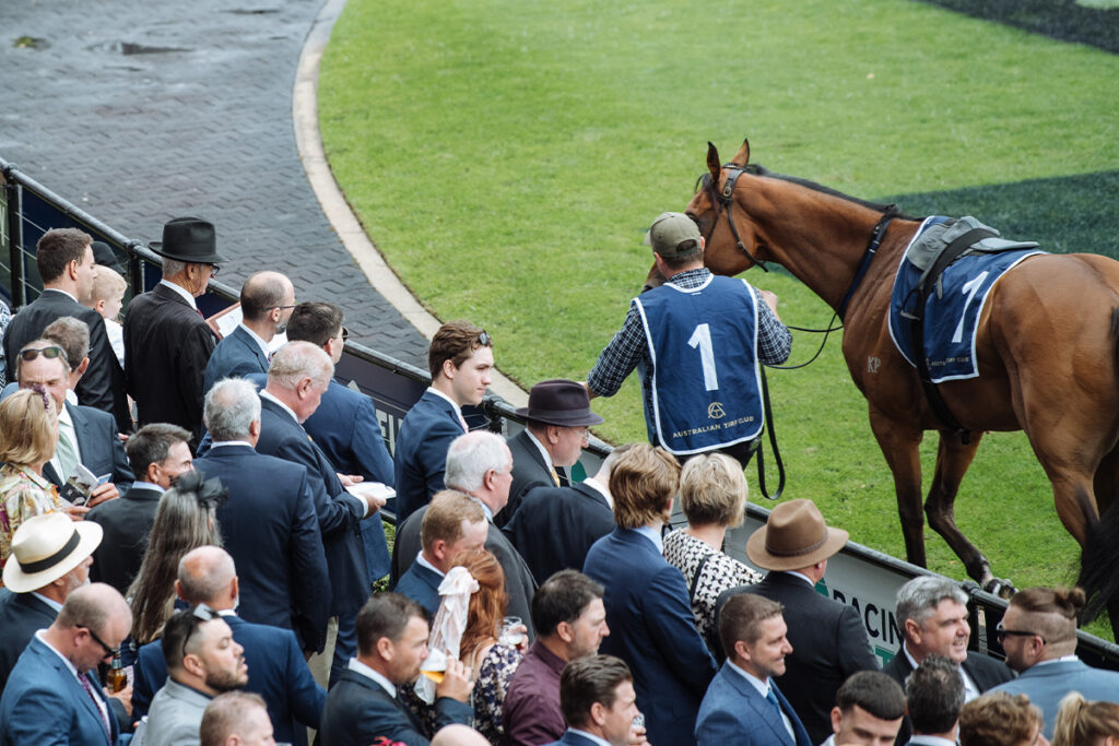 A crowd watches as a strapper leads a bay horse around the mounting yard