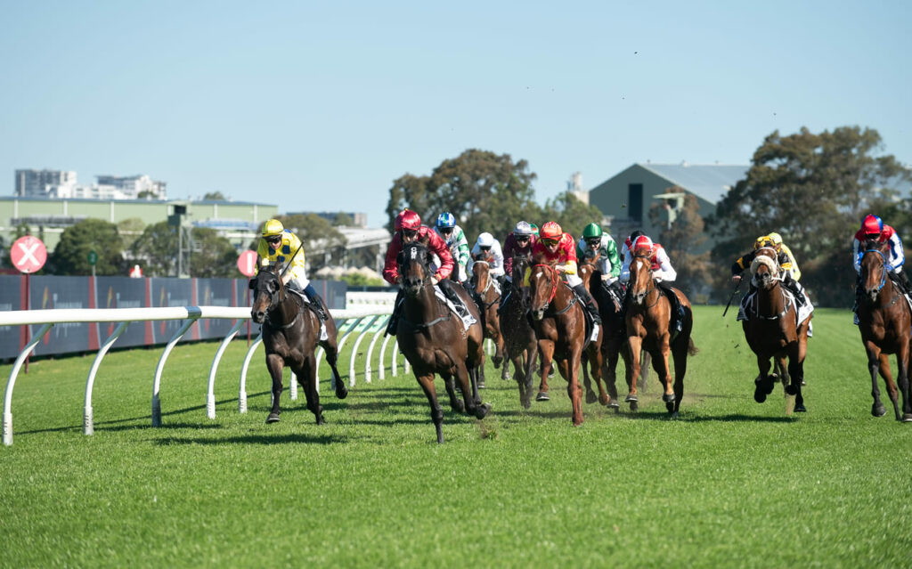 Front view of horses racing at Rosehill Gardens.