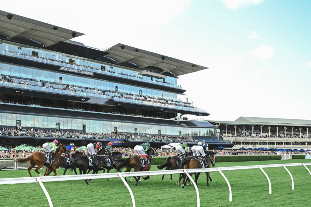 A field of horses are shown galloping past a grandstand