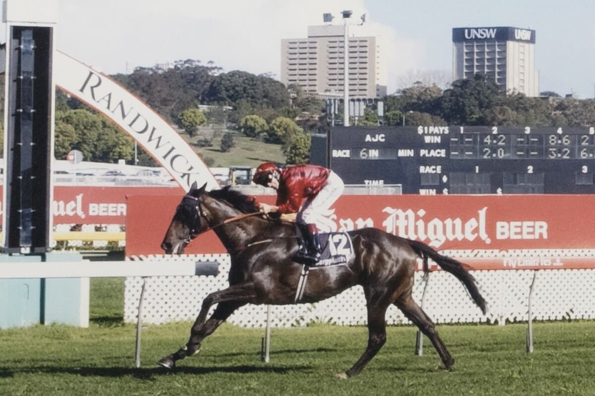 The racehorse Desert War wins the Epsom Handicap at Royal Randwick.