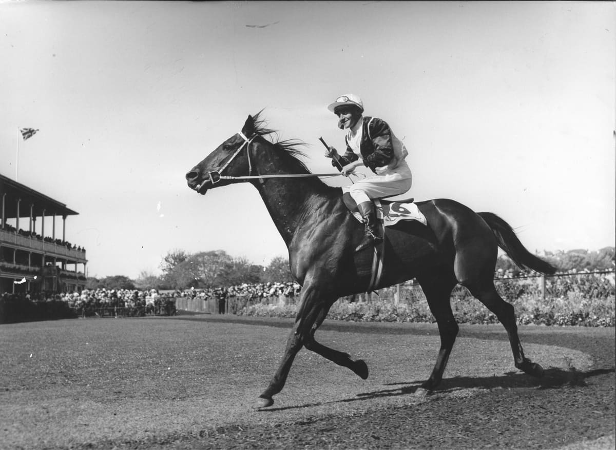 The racehorse Toi Port is shown after winning the 1964 Epsom Handicap at Randwick racecourse.