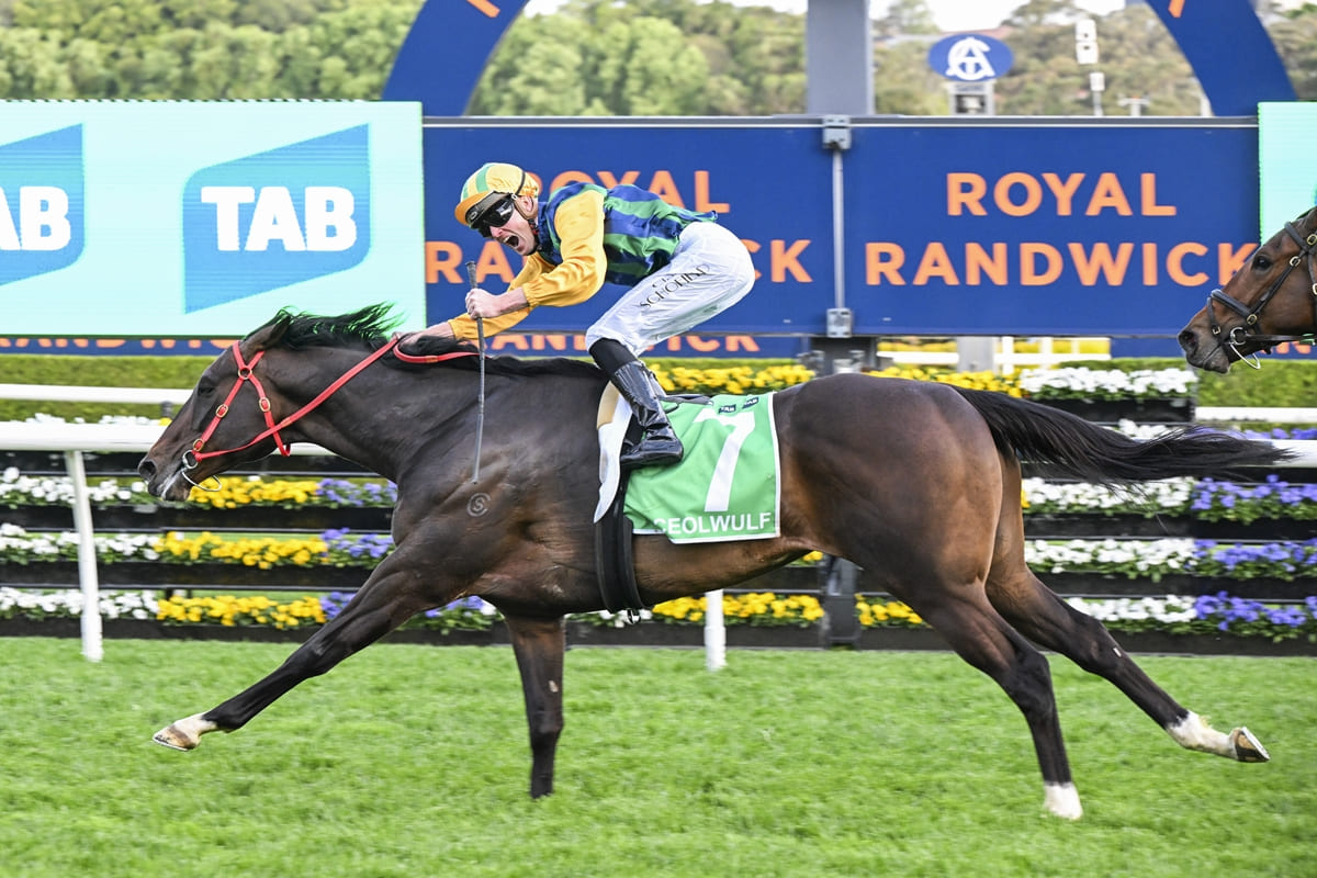 Ceolwulf winning the 2024 Epsom Handicap at Royal Randwick.