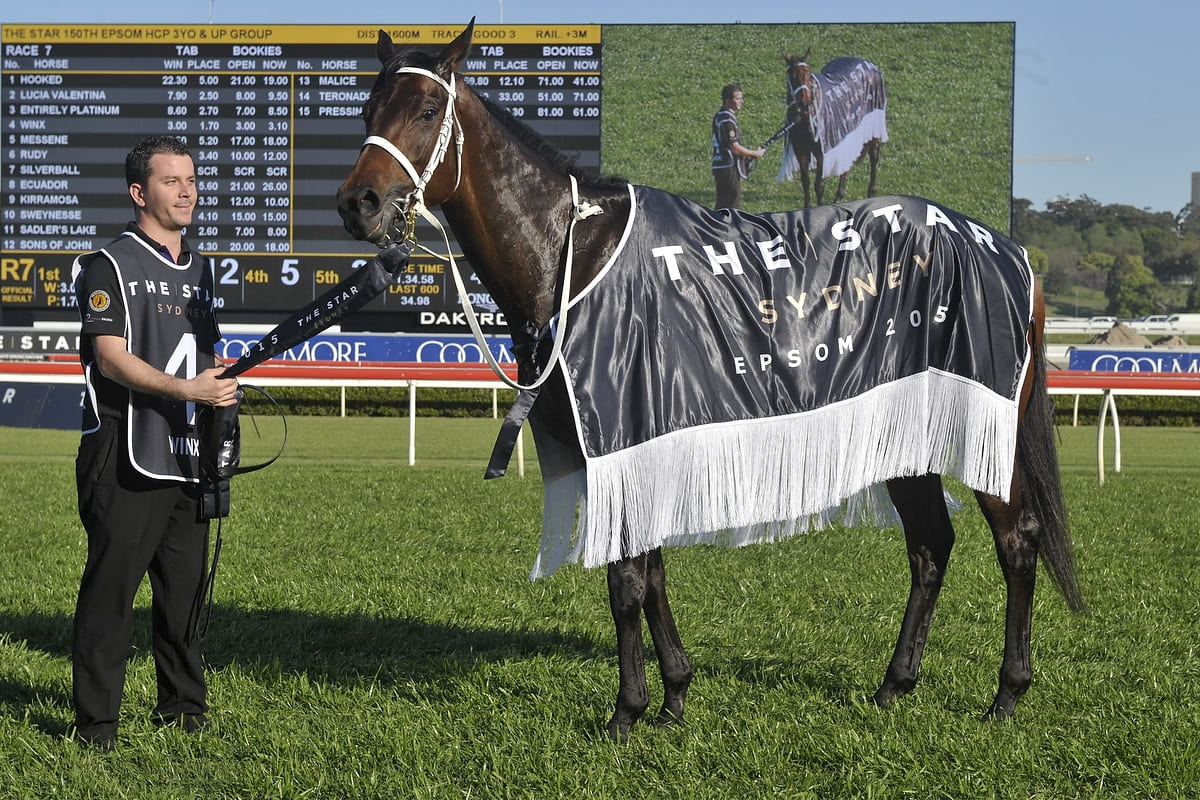 The racehorse Winx after winning the 2015 Epsom Handicap.