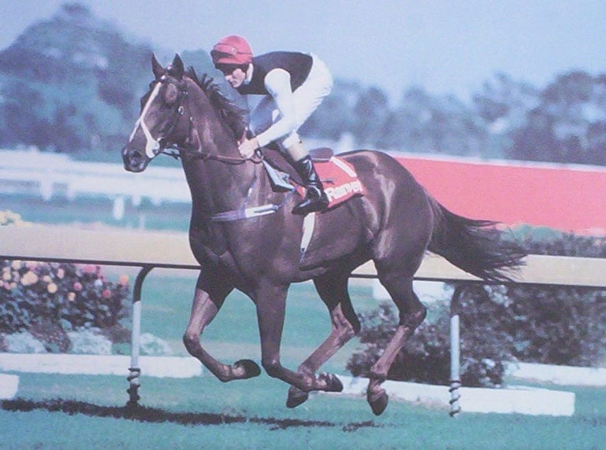 The racehorse Super Impose is shown in full gallop at Randwick racecourse.