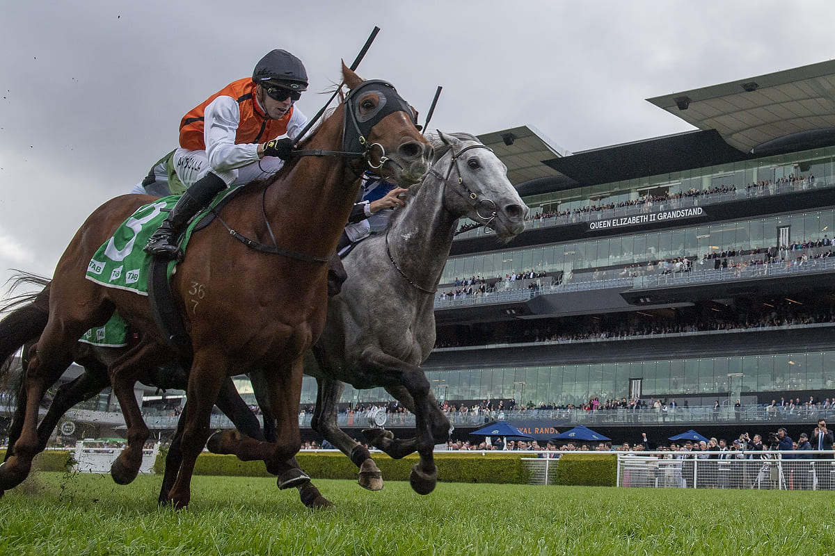 The racehorses Top Ranked and Ellsberg win the 2022 Epsom Handicap in a dead heat.
