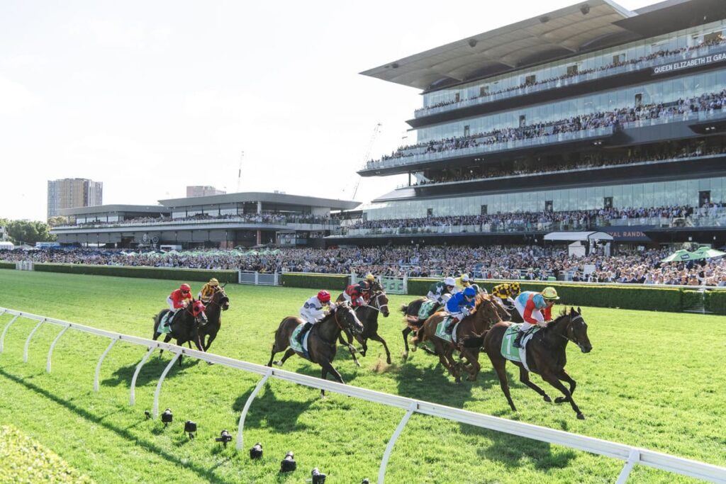 The 2025 Everest field is shown racing from the inside of the track at Royal Randwick.