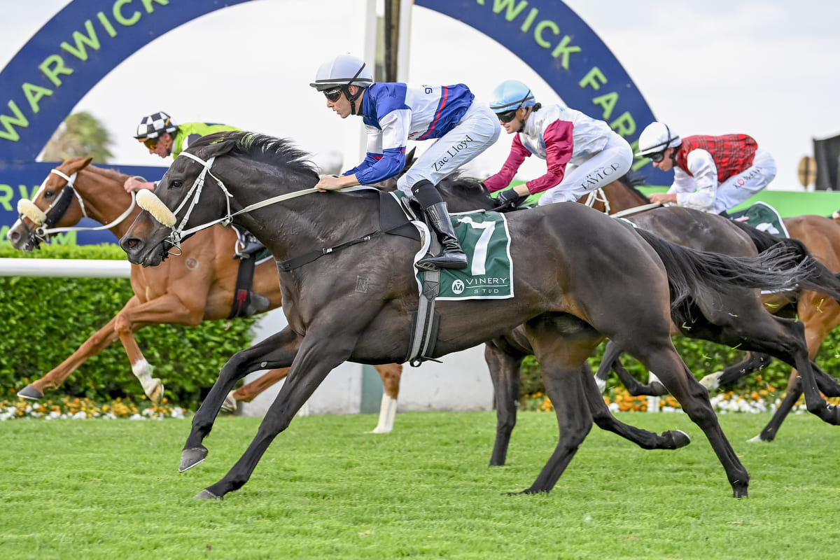 A group of horses pass the winning post at Warwick Farm racecourse, in a race won by Sting In The Tail.