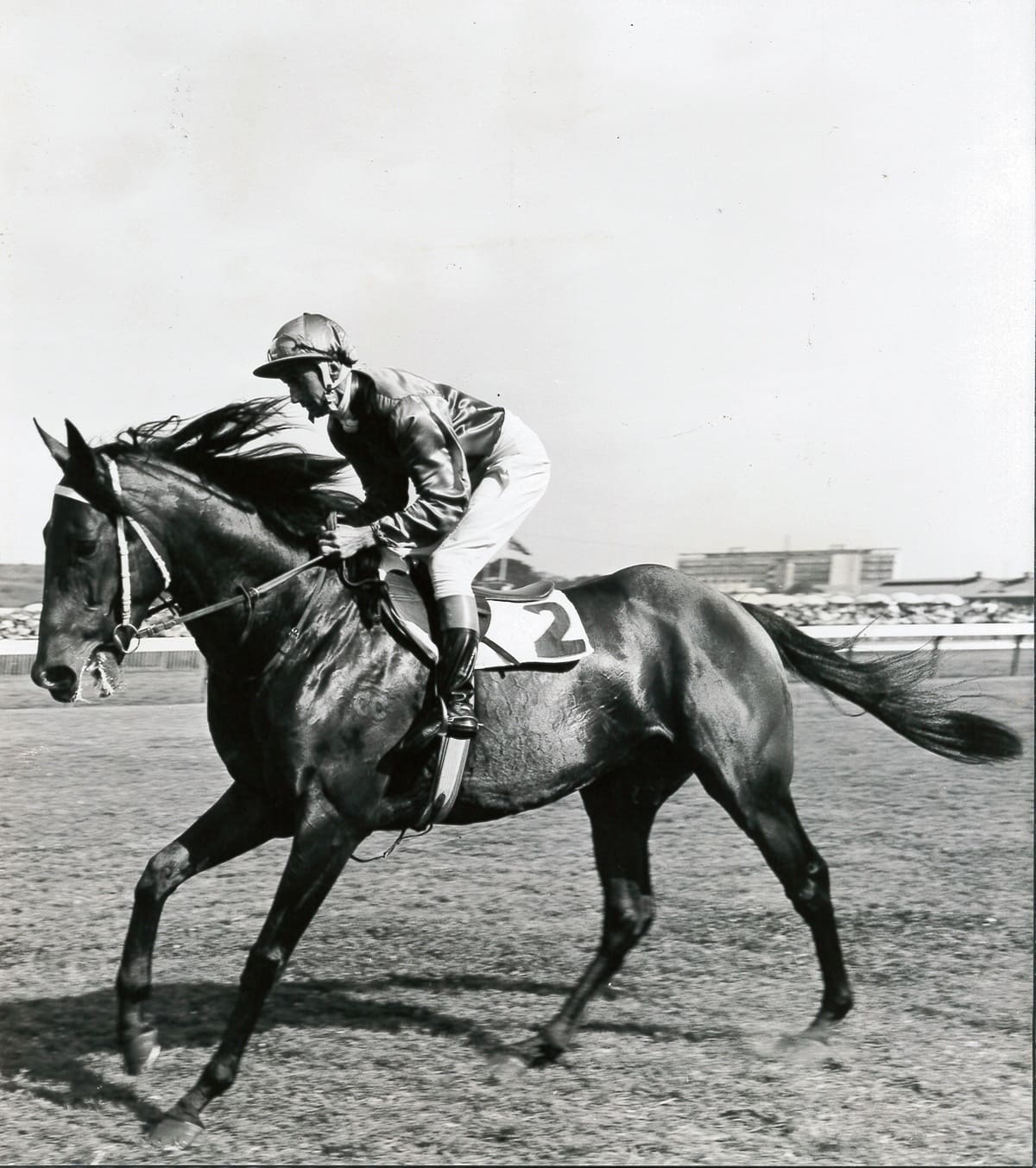 Sky High wins the 1960 Golden Slipper at Rosehill Gardens.